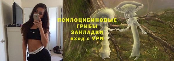 МДПВ Богородск