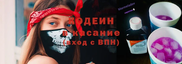 МДПВ Богородск