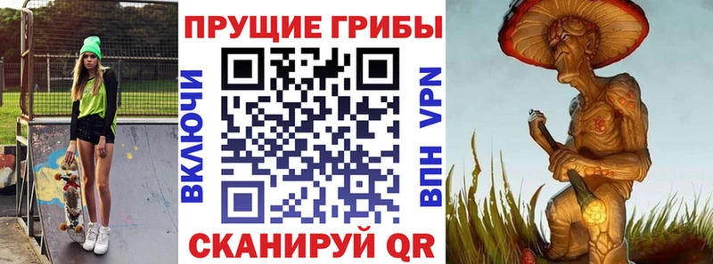 Купить закладки Купино Галлюциногенные грибы Psilocybe