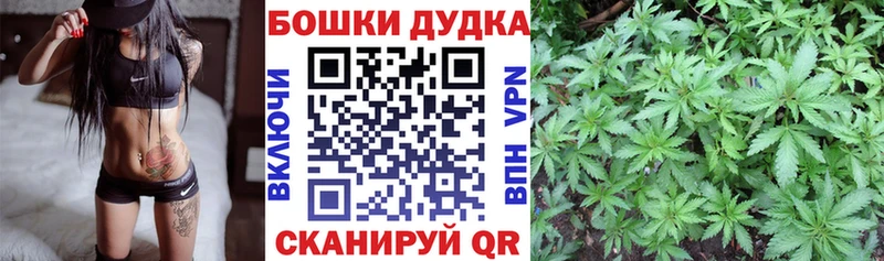 Канабис Bruce Banner  Купить где  Купино 